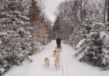 Portage Ontario Outward Bound Dog Sledding